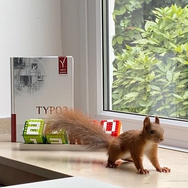 Ein Eichhörnchen auf der Fensterbank vor einem TYPO3 Buch