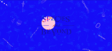 KIKK Titelbild KIKK Titelbild